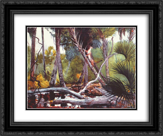 In the jungle, Florida 24x20 Black Ornate Wood Framed Art Print Poster with Double Matting by Homer, Winslow