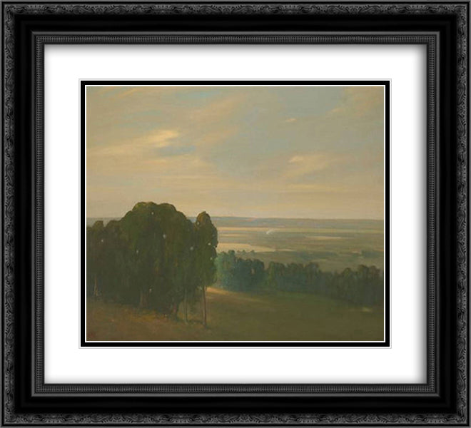 Eucalyptus Grove in a Vast Landscape 22x20 Black Ornate Wood Framed Art Print Poster with Double Matting by Martinez, Xavier