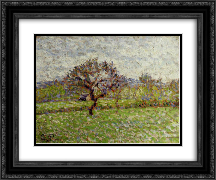 An Apple Tree at Eragny 24x20 Black Ornate Wood Framed Art Print Poster with Double Matting by Pissarro, Camille