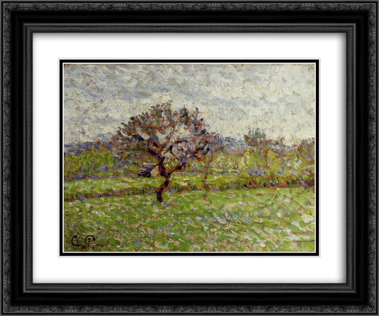 An Apple Tree at Eragny 24x20 Black Ornate Wood Framed Art Print Poster with Double Matting by Pissarro, Camille