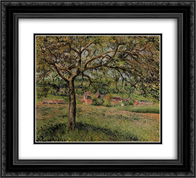 Apple Tree at Eragny 22x20 Black Ornate Wood Framed Art Print Poster with Double Matting by Pissarro, Camille