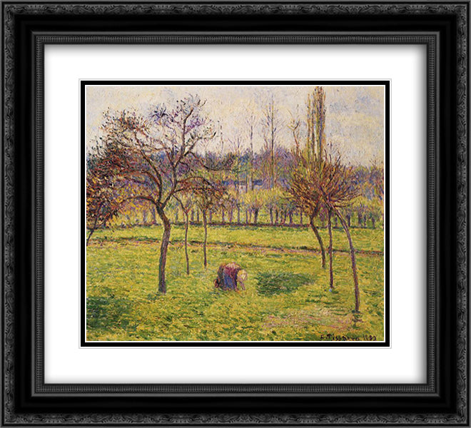 Apple Trees in a Field 22x20 Black Ornate Wood Framed Art Print Poster with Double Matting by Pissarro, Camille