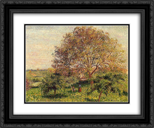 Walnut Tree in Spring 24x20 Black Ornate Wood Framed Art Print Poster with Double Matting by Pissarro, Camille