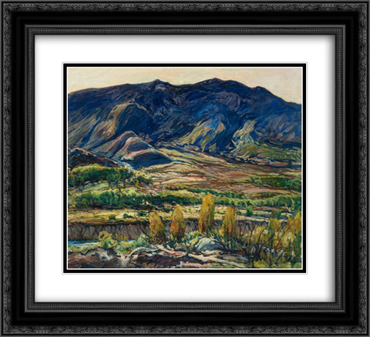 In the San Felipe Valley 22x20 Black Ornate Wood Framed Art Print Poster with Double Matting by Reiffel, Charles