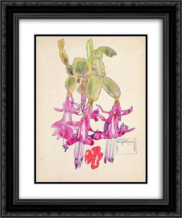 Cactus Flower 20x24 Black Ornate Wood Framed Art Print Poster with Double Matting by Mackintosh, Charles Rennie