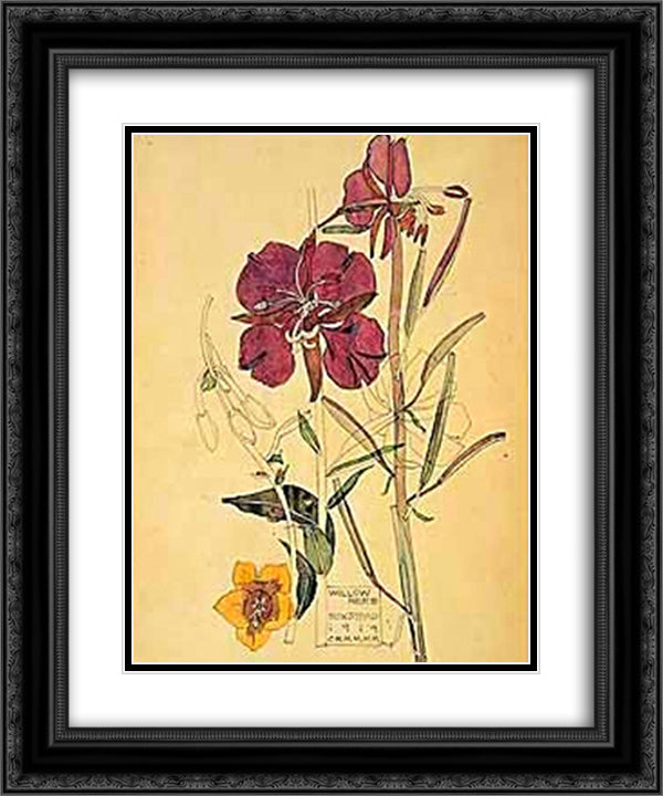 Flowers 20x24 Black Ornate Wood Framed Art Print Poster with Double Matting by Mackintosh, Charles Rennie