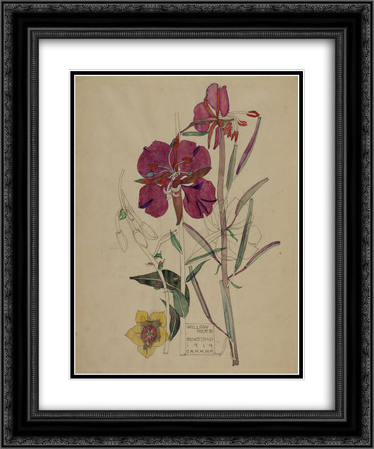 Willow Herb, Buxstead 20x24 Black Ornate Wood Framed Art Print Poster with Double Matting by Mackintosh, Charles Rennie