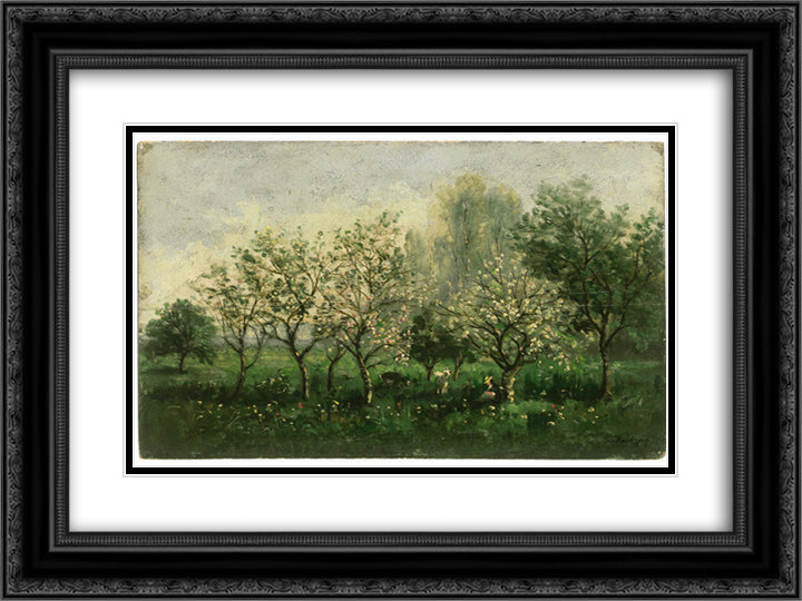 Apple Trees in Blossom 24x18 Black Ornate Wood Framed Art Print Poster with Double Matting by Daubigny, Charles Francois