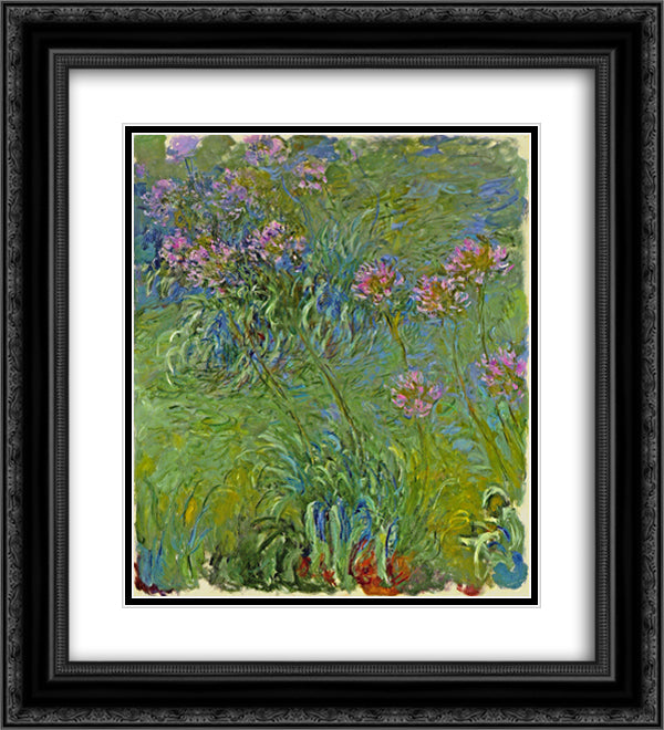 Agapanthus Flowers 20x22 Black Ornate Wood Framed Art Print Poster with Double Matting by Monet, Claude