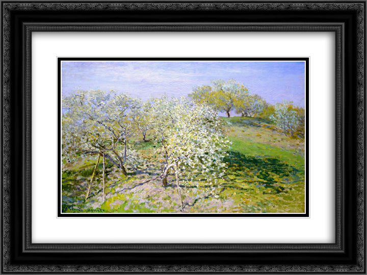 Apple Trees in Bloom 24x18 Black Ornate Wood Framed Art Print Poster with Double Matting by Monet, Claude