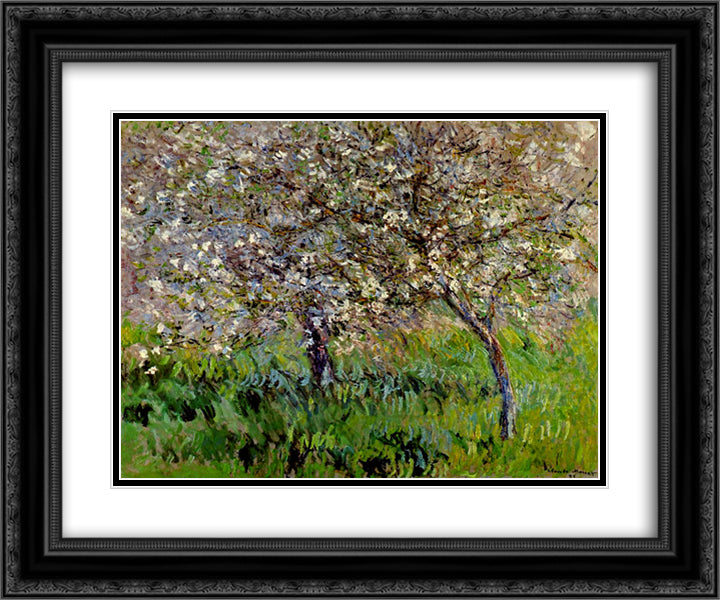 Apple Trees in Bloom at Giverny 24x20 Black Ornate Wood Framed Art Print Poster with Double Matting by Monet, Claude