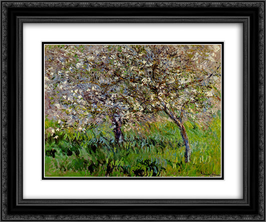 Apple Trees in Bloom at Giverny 24x20 Black Ornate Wood Framed Art Print Poster with Double Matting by Monet, Claude