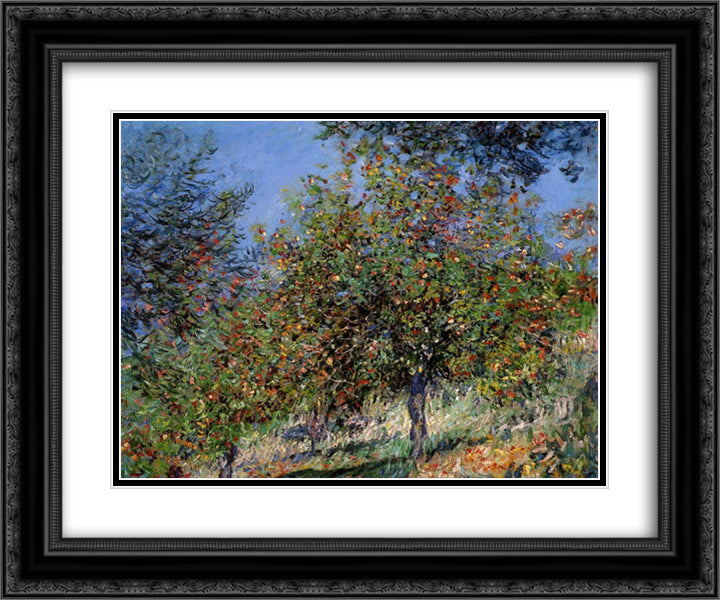 Apple Trees on the Chantemesle Hill 24x20 Black Ornate Wood Framed Art Print Poster with Double Matting by Monet, Claude