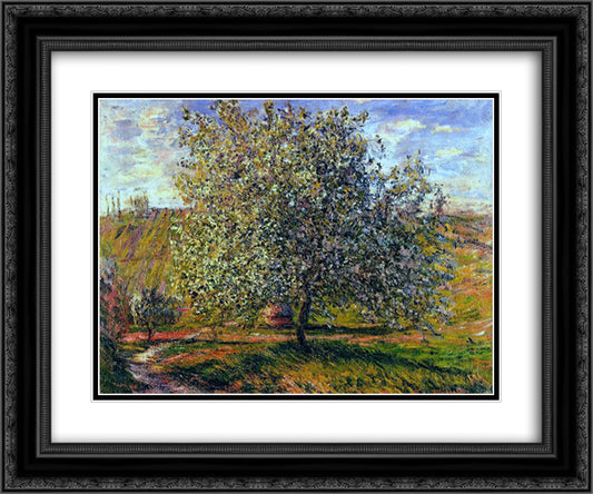 Tree in Flower near Vetheuil 24x20 Black Ornate Wood Framed Art Print Poster with Double Matting by Monet, Claude