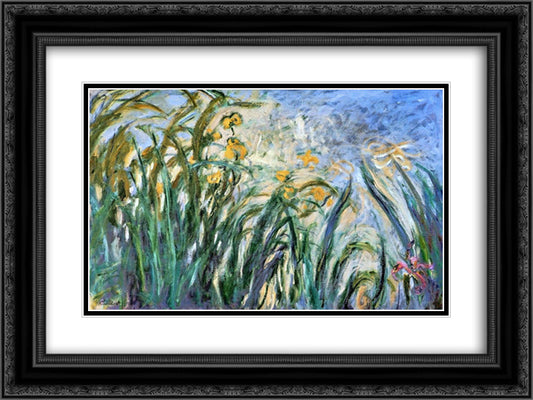 Yellow Irises and Malva 24x18 Black Ornate Wood Framed Art Print Poster with Double Matting by Monet, Claude