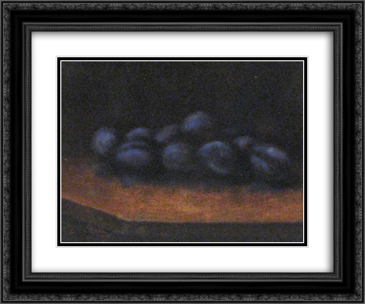 Plums 24x20 Black Ornate Wood Framed Art Print Poster with Double Matting by Stahi, Constantin