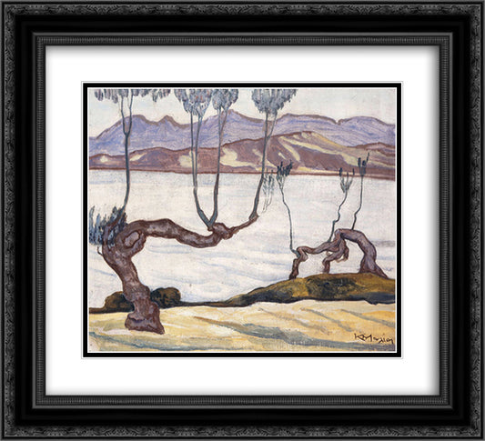 Landscape of Aswan on the Nile 22x20 Black Ornate Wood Framed Art Print Poster with Double Matting by Maleas, Constantine