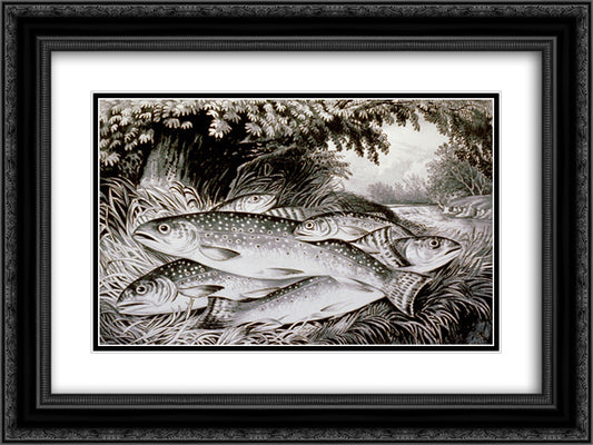 American brook trout 24x18 Black Ornate Wood Framed Art Print Poster with Double Matting by Currier and Ives