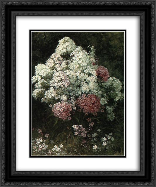 Phlox 20x24 Black Ornate Wood Framed Art Print Poster with Double Matting by Johnson, David