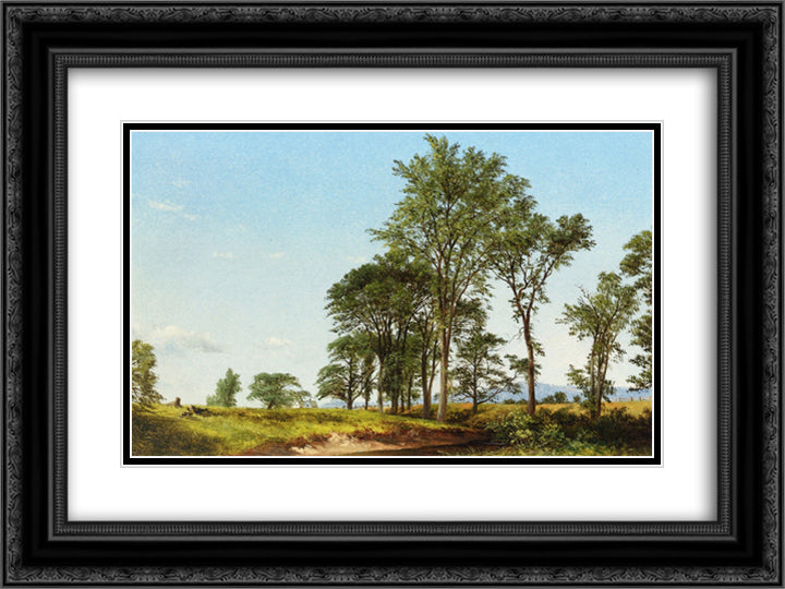 Young Elms 24x18 Black Ornate Wood Framed Art Print Poster with Double Matting by Johnson, David