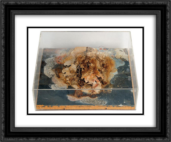 Small Island 24x20 Black Ornate Wood Framed Art Print Poster with Double Matting by Roth, Dieter
