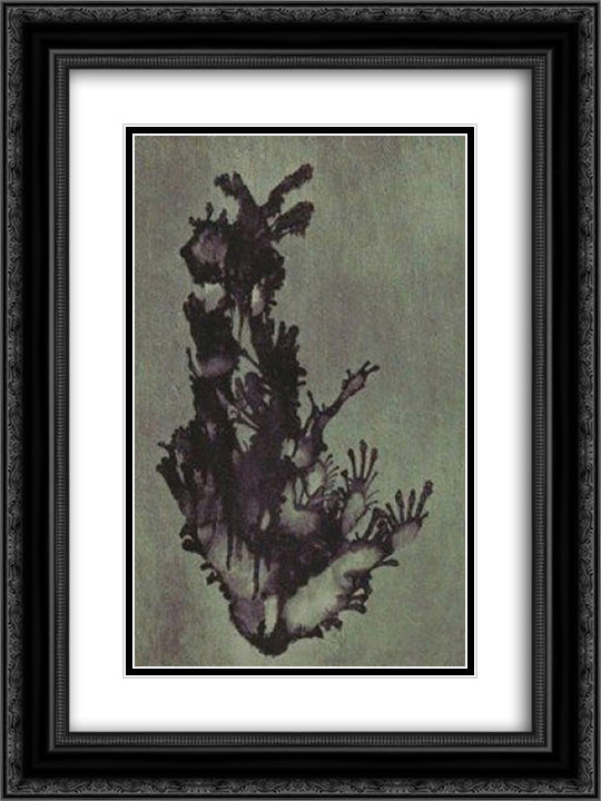 Trace of a Non - Periodical Comet (Vaporization) 18x24 Black Ornate Wood Framed Art Print Poster with Double Matting by Trost, Dolfi