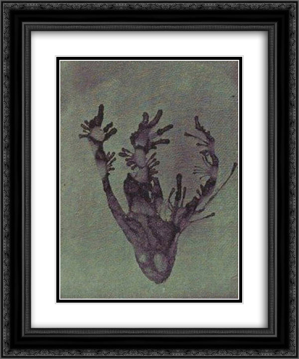 Transfer & Placement Into a Dream (Vaporization) 20x24 Black Ornate Wood Framed Art Print Poster with Double Matting by Trost, Dolfi