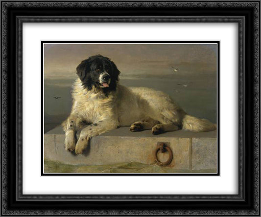 A Distinguished Member of the Humane Society 24x20 Black Ornate Wood Framed Art Print Poster with Double Matting by Landseer, Edwin Henry