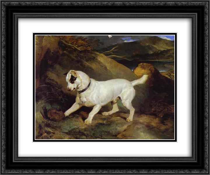 Jocko with a Hedgehog 24x20 Black Ornate Wood Framed Art Print Poster with Double Matting by Landseer, Edwin Henry