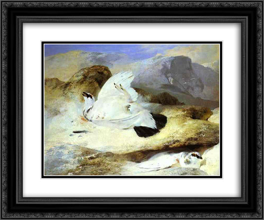 Ptarmigan 24x20 Black Ornate Wood Framed Art Print Poster with Double Matting by Landseer, Edwin Henry