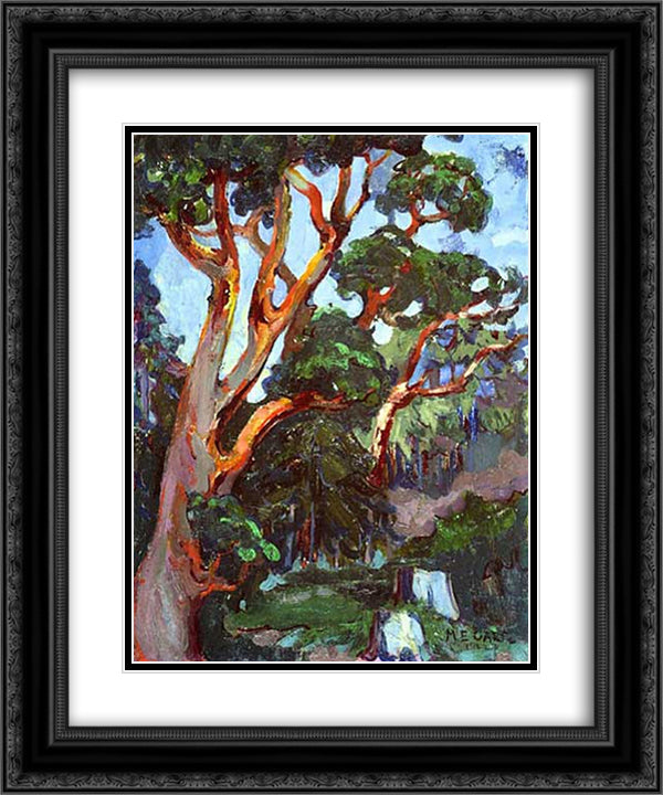 Arbutus Tree 20x24 Black Ornate Wood Framed Art Print Poster with Double Matting by Carr, Emily