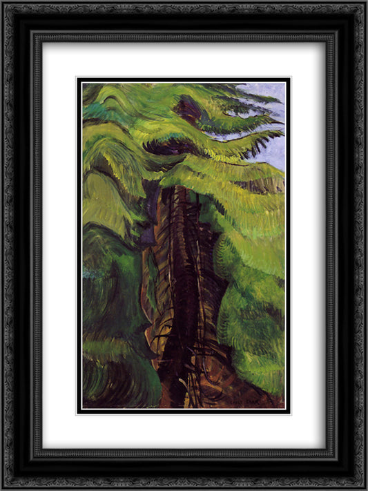 Cedar Sanctuary 18x24 Black Ornate Wood Framed Art Print Poster with Double Matting by Carr, Emily