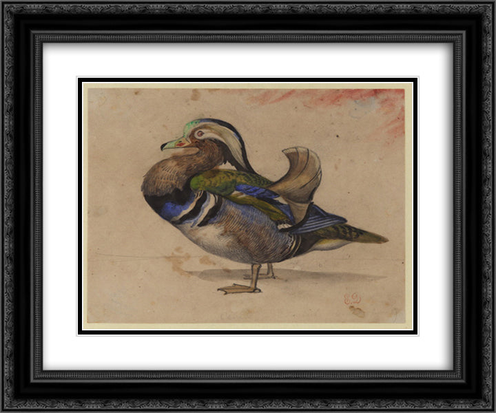 A Mandarin drake 24x20 Black Ornate Wood Framed Art Print Poster with Double Matting by Delacroix, Eugene