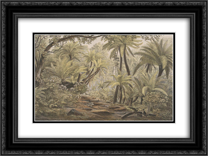 Ferntree Gully, Dandenong Ranges, Victoria 24x18 Black Ornate Wood Framed Art Print Poster with Double Matting by von Guerard, Eugene