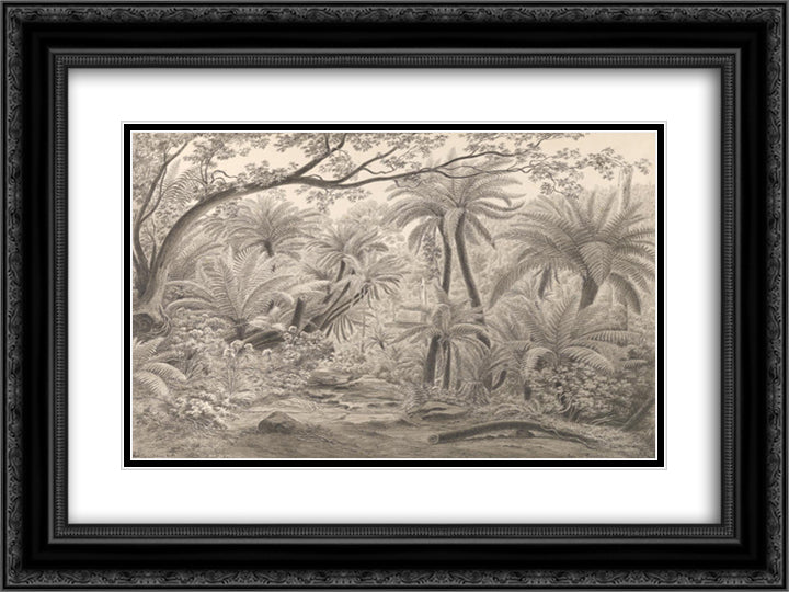 Ferntree or Dobson's Gully, Dandenong Ranges 24x18 Black Ornate Wood Framed Art Print Poster with Double Matting by von Guerard, Eugene