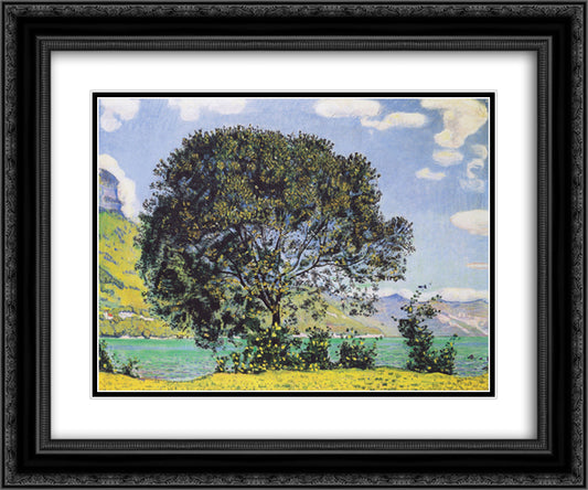 A View of Lake Brienz from Bodeli 24x20 Black Ornate Wood Framed Art Print Poster with Double Matting by Hodler, Ferdinand