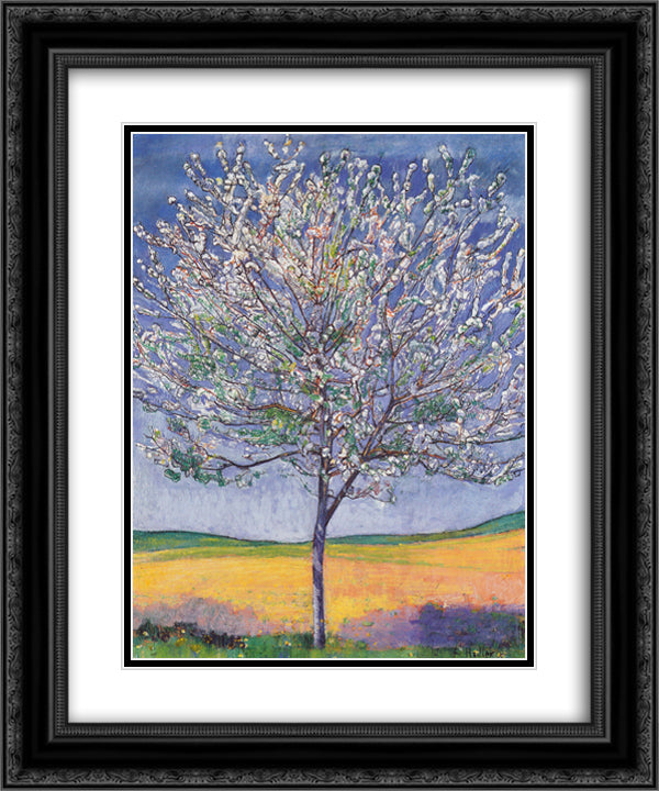 Cherry Tree in Bloom 20x24 Black Ornate Wood Framed Art Print Poster with Double Matting by Hodler, Ferdinand