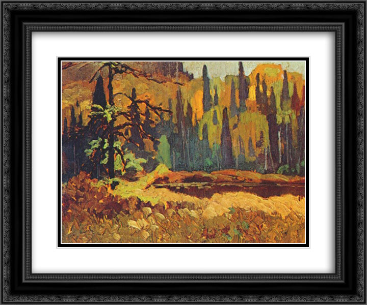 Moose Pond 24x20 Black Ornate Wood Framed Art Print Poster with Double Matting by Johnston, Frank