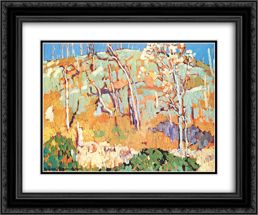 Patterned Hillside 24x20 Black Ornate Wood Framed Art Print Poster with Double Matting by Johnston, Frank