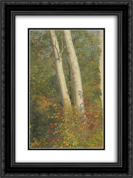 Birch Trees in Autumn 18x24 Black Ornate Wood Framed Art Print Poster with Double Matting by Church, Frederic Edwin