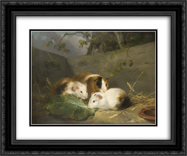 Guinea Pigs 24x20 Black Ornate Wood Framed Art Print Poster with Double Matting by Morland, George