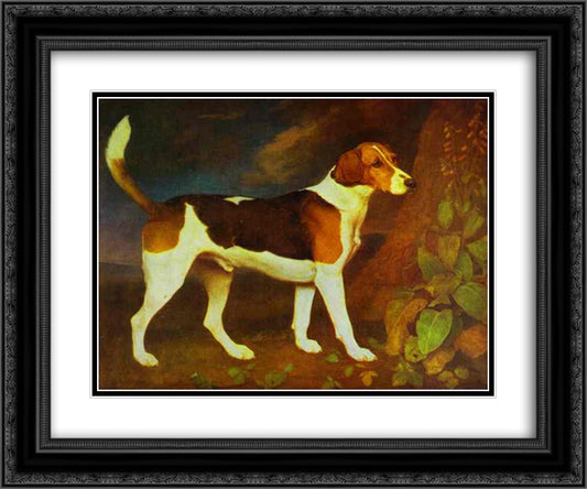 A Foxhound, Ringwod 24x20 Black Ornate Wood Framed Art Print Poster with Double Matting by Stubbs, George