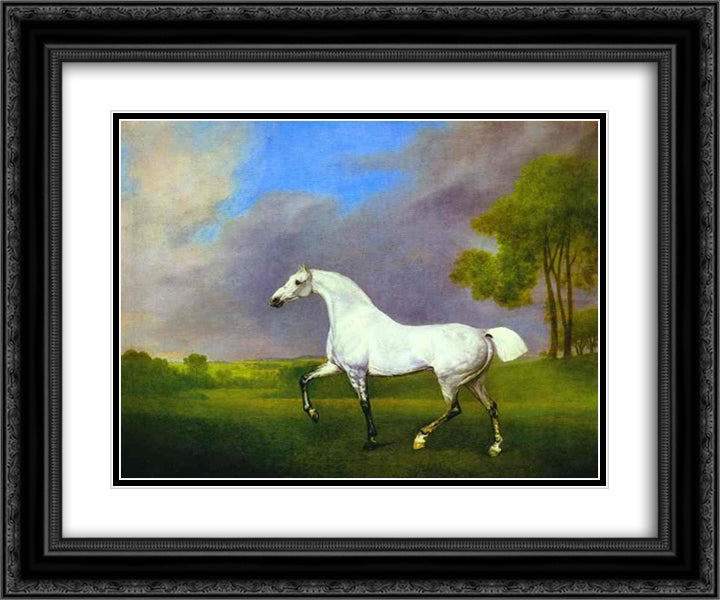 A Grey Horse 24x20 Black Ornate Wood Framed Art Print Poster with Double Matting by Stubbs, George