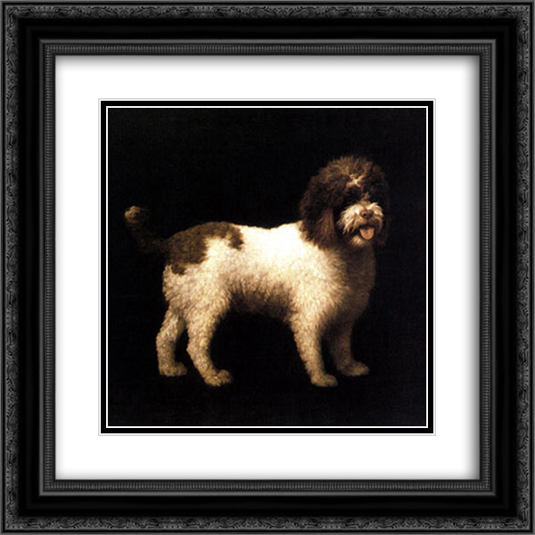 A Water Spaniel 20x20 Black Ornate Wood Framed Art Print Poster with Double Matting by Stubbs, George