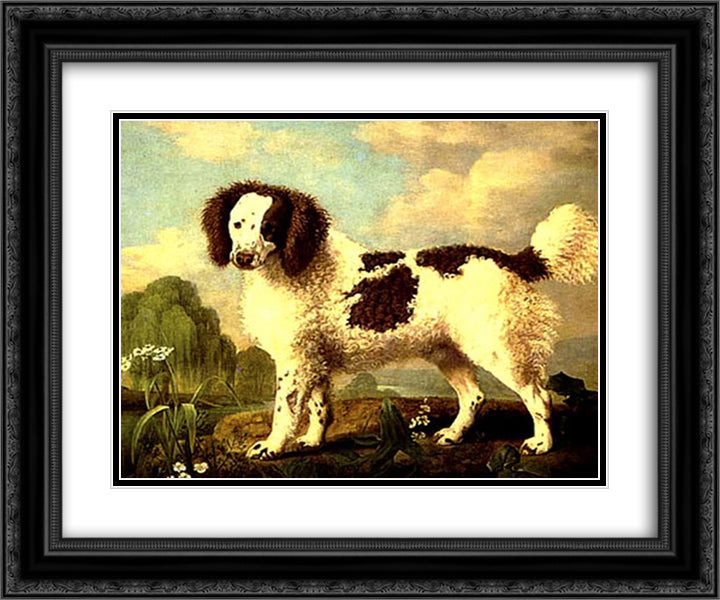 Brown and White Norfolk or Water Spaniel 24x20 Black Ornate Wood Framed Art Print Poster with Double Matting by Stubbs, George