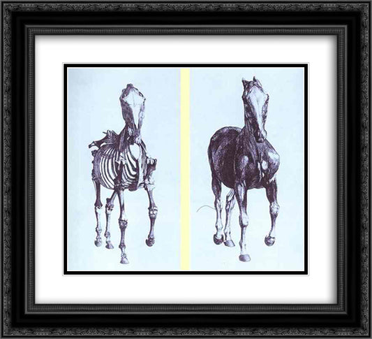 Frontal view of the skeleton of a horse, study No. 10 from 'The Anatomy of the Horse' 22x20 Black Ornate Wood Framed Art Print Poster with Double Matting by Stubbs, George