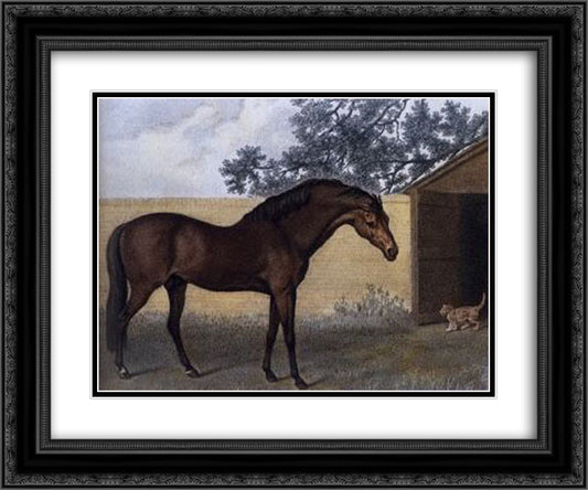 Godolphin Arabian 24x20 Black Ornate Wood Framed Art Print Poster with Double Matting by Stubbs, George