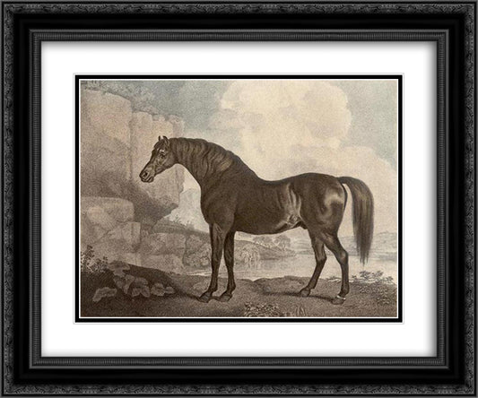 Marske Horse 24x20 Black Ornate Wood Framed Art Print Poster with Double Matting by Stubbs, George