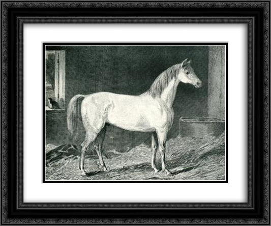 Messenger Horse 24x20 Black Ornate Wood Framed Art Print Poster with Double Matting by Stubbs, George