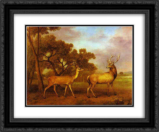 Red Deer Stag and Hind 24x20 Black Ornate Wood Framed Art Print Poster with Double Matting by Stubbs, George